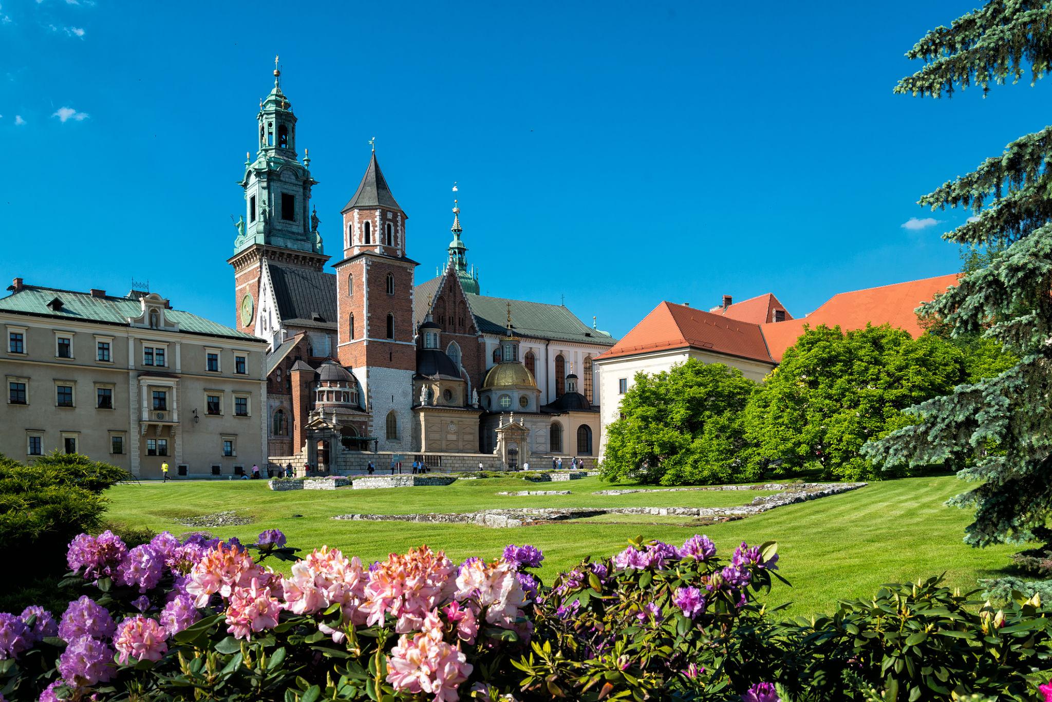 6bUU5Dad2p2OK3LD2WJu0GIh3ErKLKGe2gk1fLnTGP0mXlb8oVCJcuycU9jAbDPFHbHBj7i8OKgC_GJmxL1viVCz7I-bOG0q_EXEJ-0C6f4